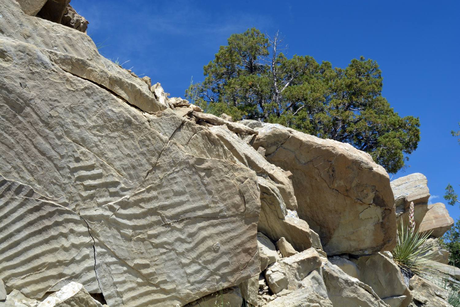Red rock and fossil-bearing ledges at the Alcova fossil area.