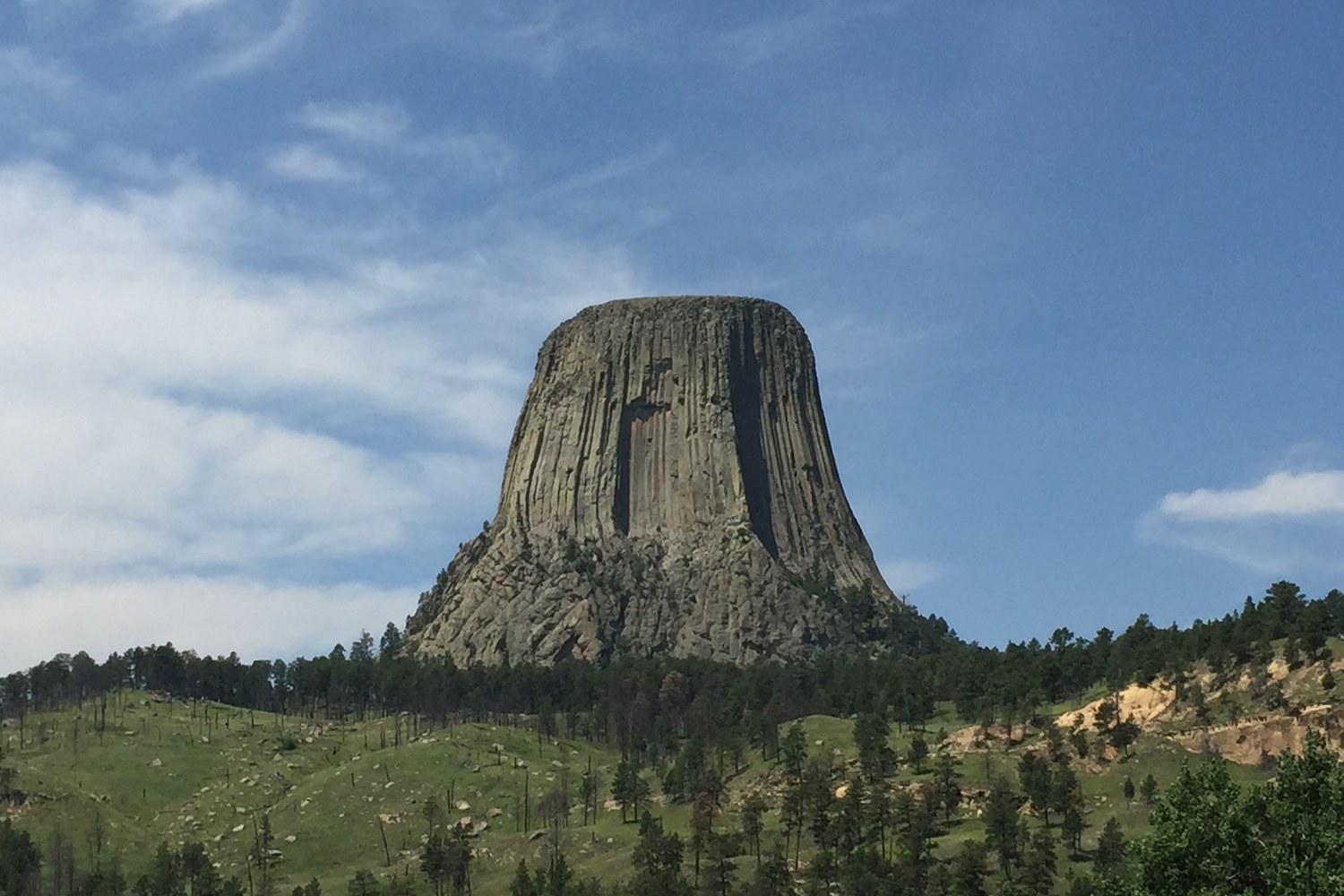 Devils Tower rising above the pines under a cloudy sky.